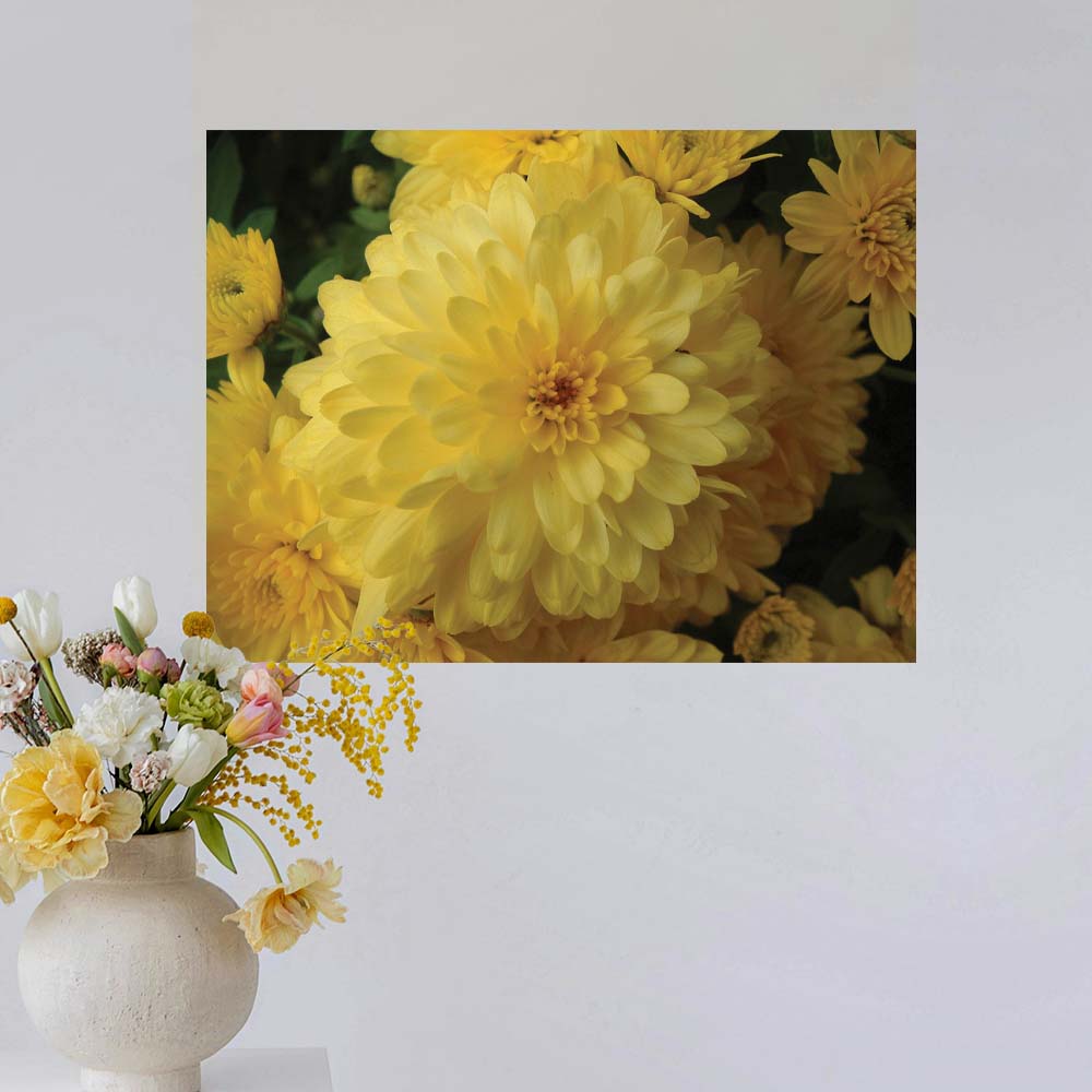 18x24 inch Chrysanthemum Flowers Poster Displayed on Wall