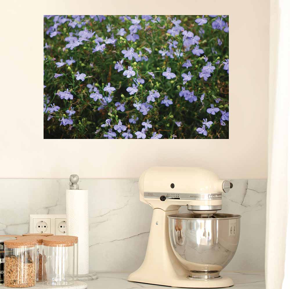 16x24 inch Purple Flowers Poster Displayed in Kitchen