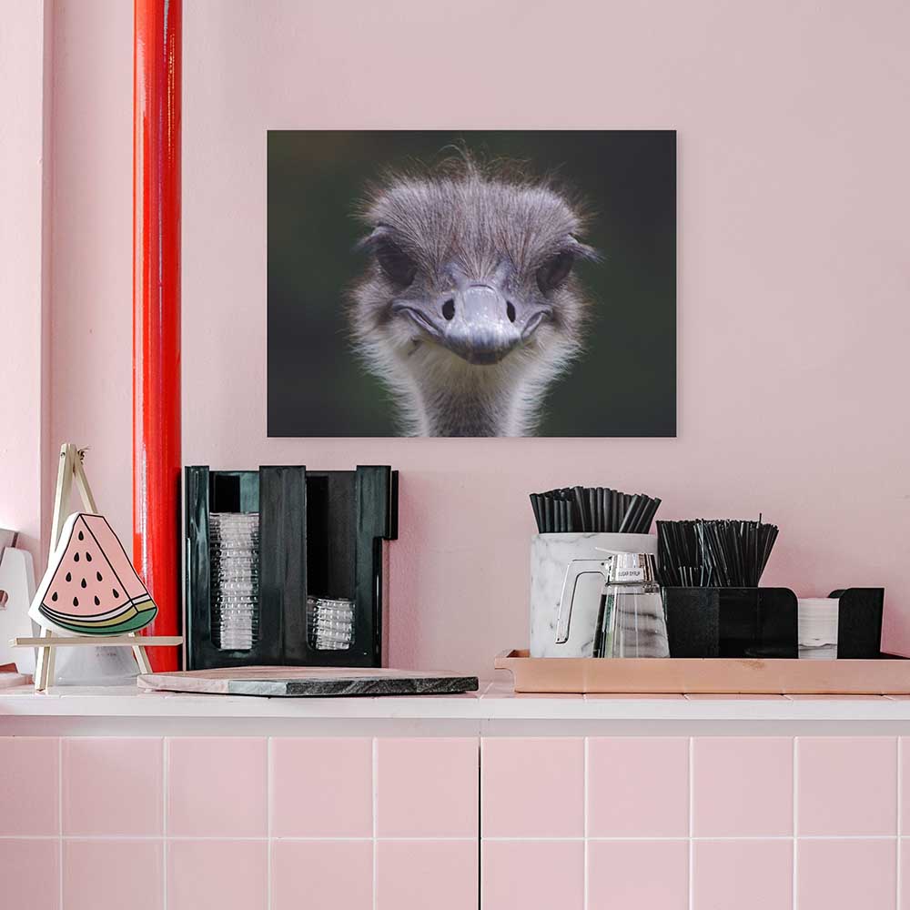 24 inch Ostrich Portrait Poster Displayed in Restaurant