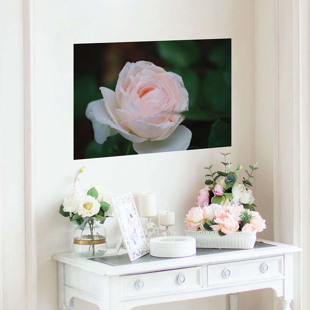 16x24 inch Pink Rose Poster Displayed Above Vanity