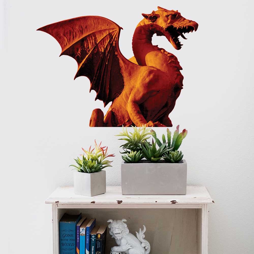 18x24 inch Dragon Wall Decal Installed Above Book Shelf