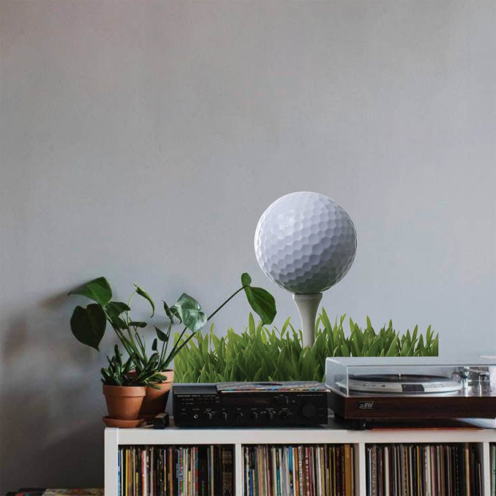 19.5x24 inch Fore Golf Decal Installed Above Record Cabinet