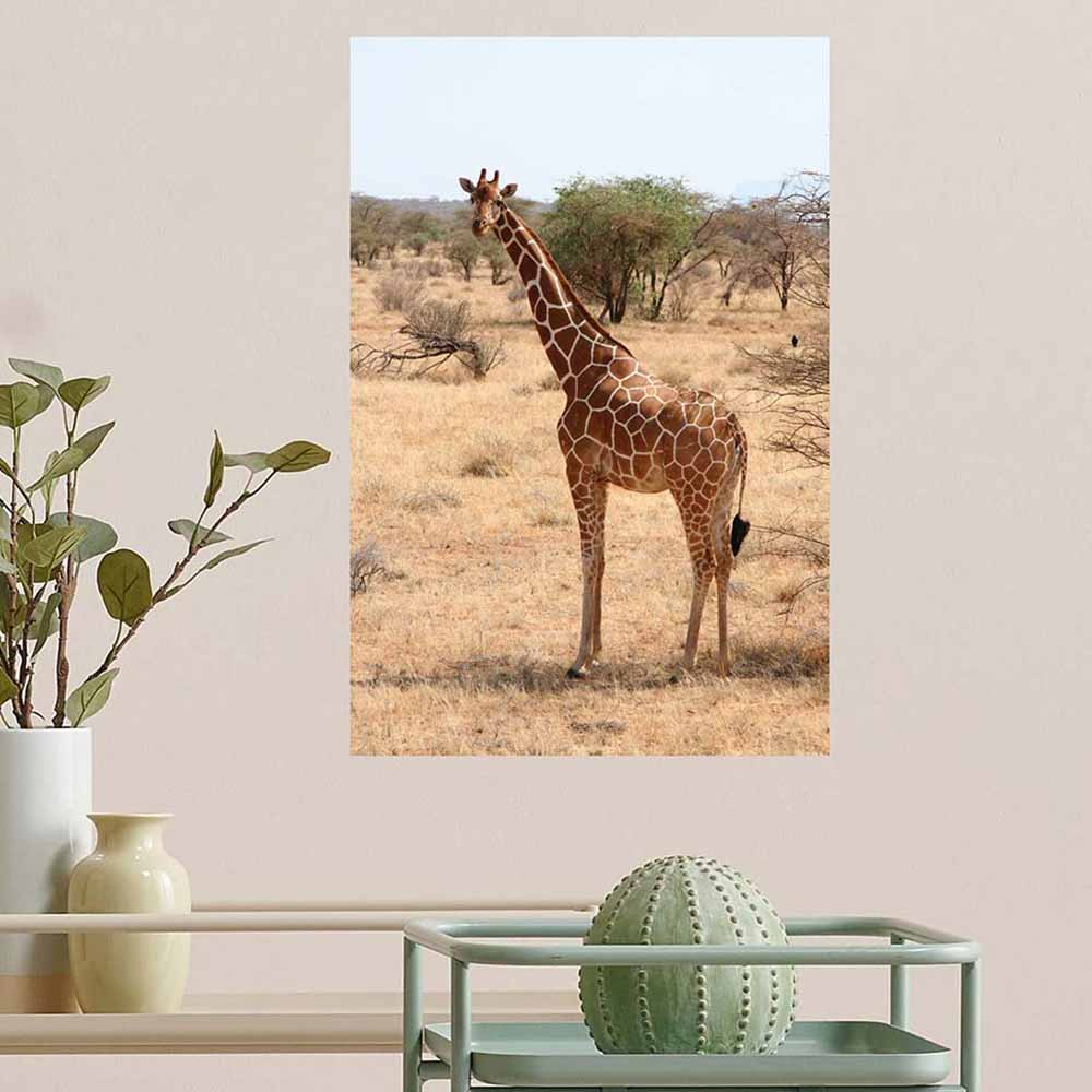 24 inch Giraffe Portrait Poster Displayed Above Planters