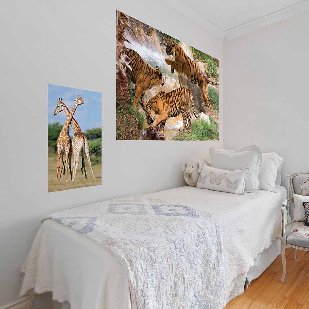 24 inch Crossing Giraffes Gloss Poster Installed in Girls Room