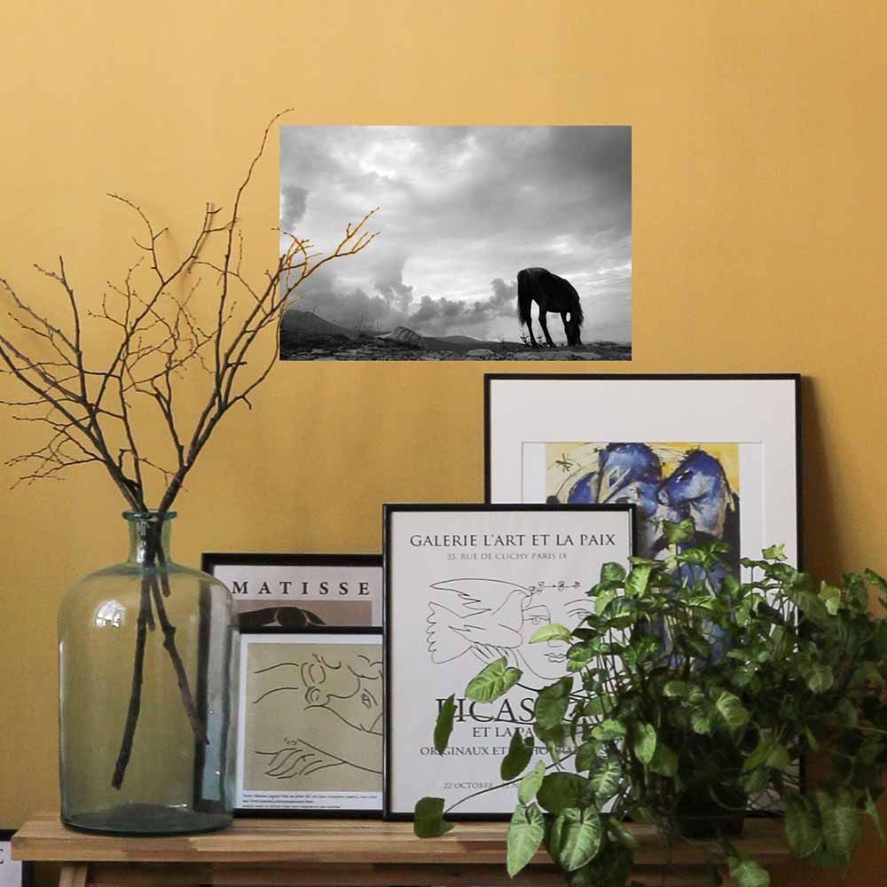 24 inch Grazing Horse Decal Installed Above Framed Art