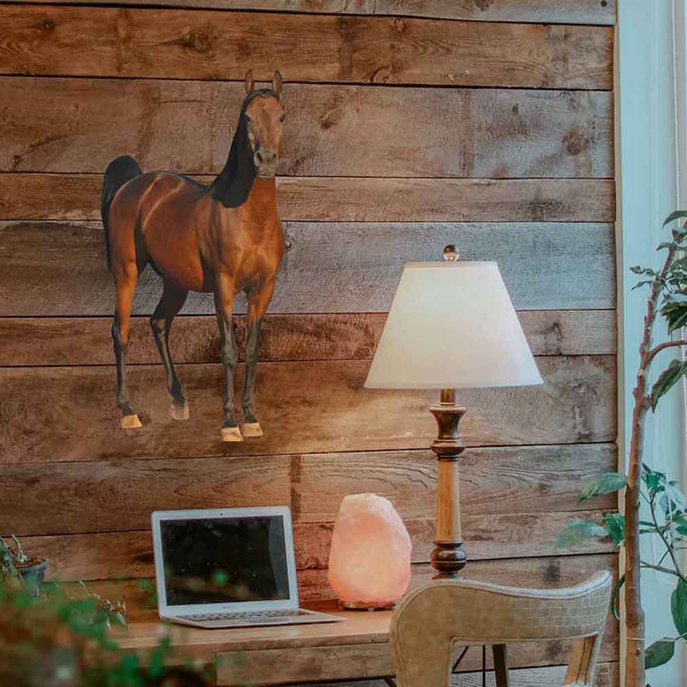 24 inch Horse Die-Cut Decal Installed Above Desk