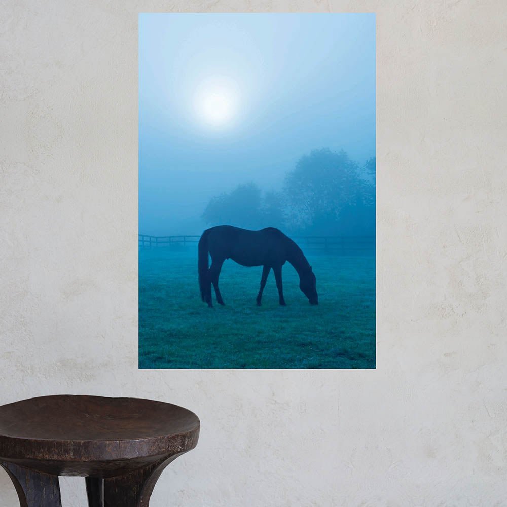 24 inch Morning Mist Horse Poster Displayed on Wall