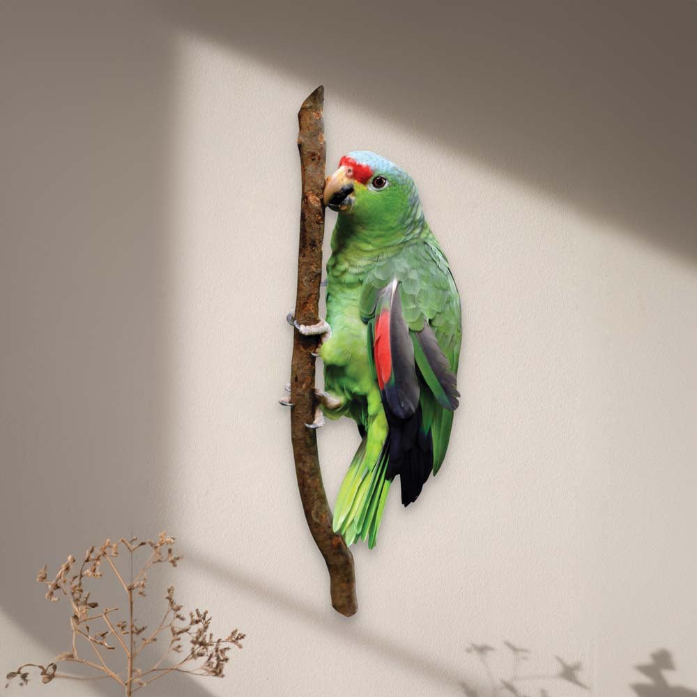 24 inch Parrot Die-Cut Decal Installed on Wall