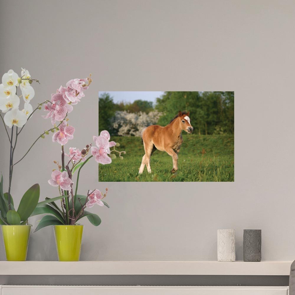 24 inch Pony in a Field Wall Decal Installed Above Mantle