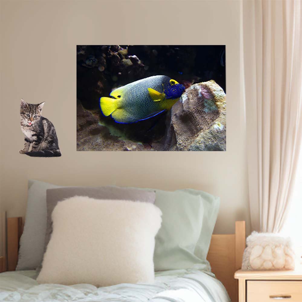 16x24 inch Reef Angel Fish Poster Installed Above Bed