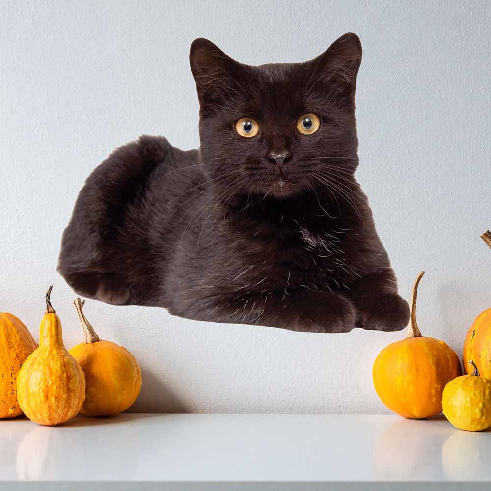 24 inch Black Cat Die-Cut Decal Installed on Wall