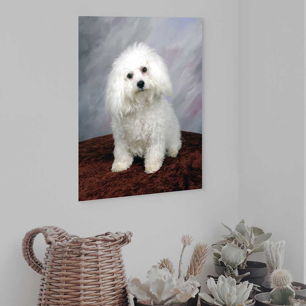 24 inch Poodle Portrait Gloss Poster Installed on Wall