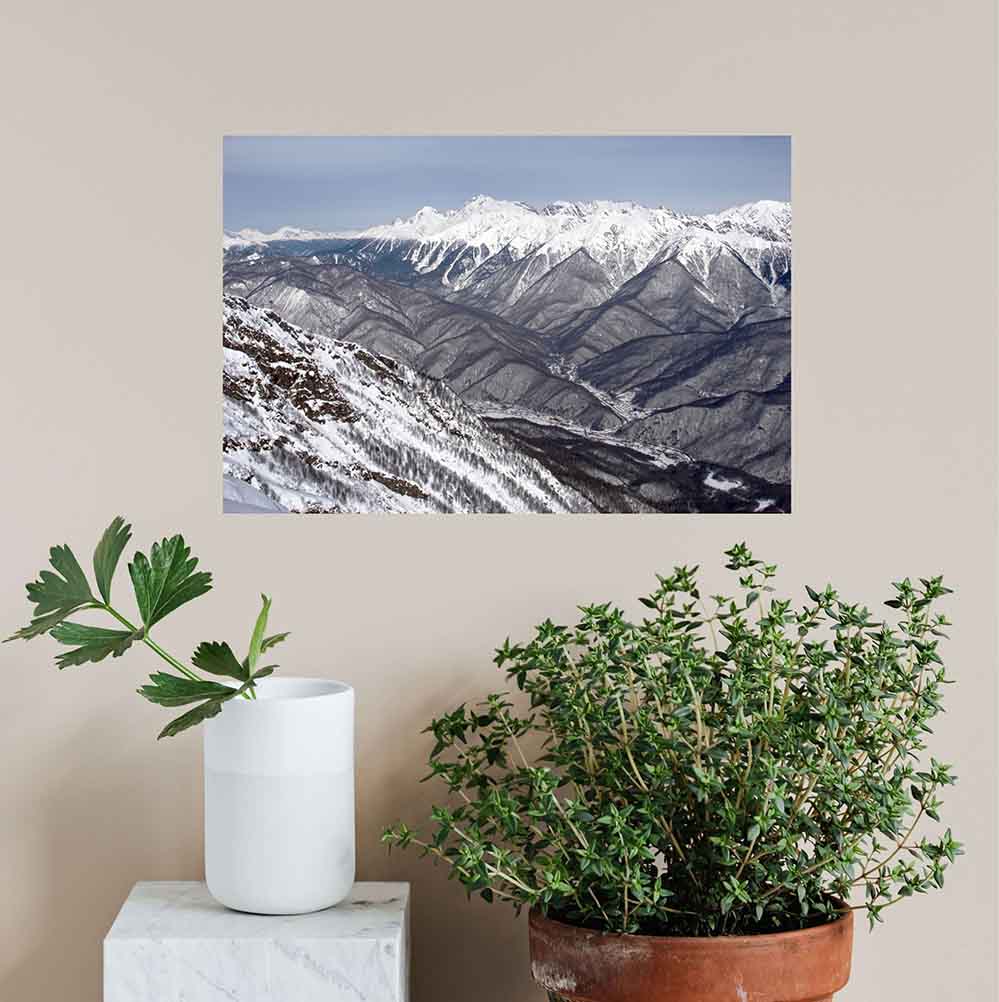 16x24 inch Snowy Mountain Poster Displayed Above Plants