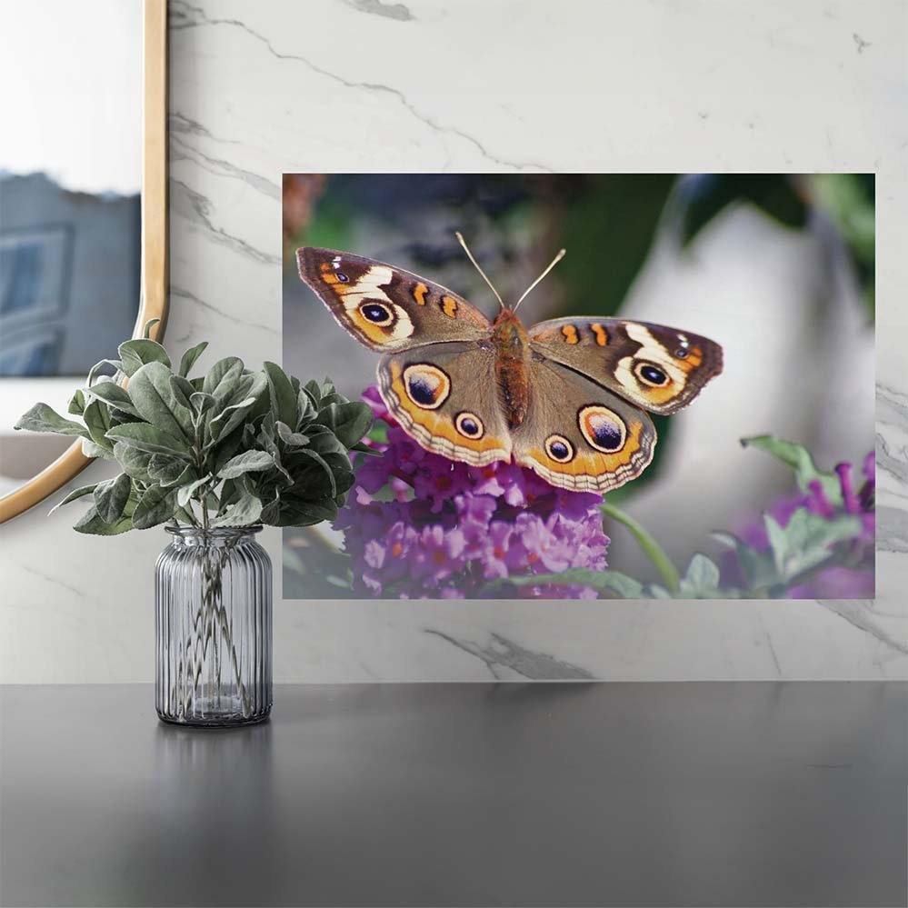 17x24 inch Butterfly on Purple Flower Decal Installed Above Counter