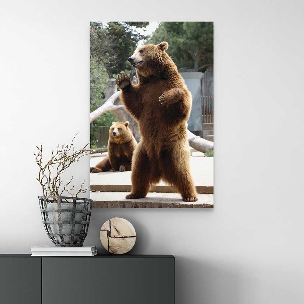 24 inch Standing Bear Poster Displayed on Wall