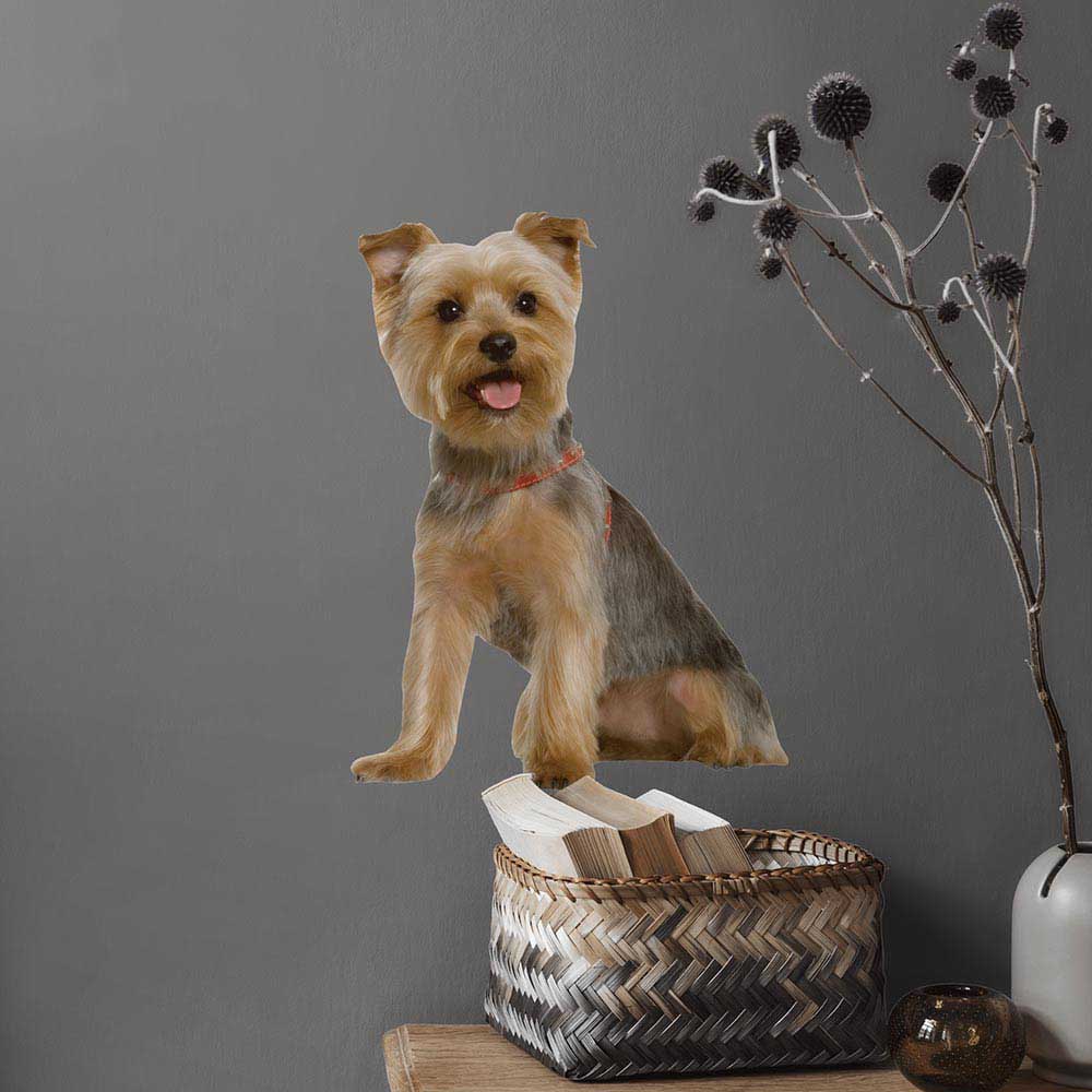 24 inch Die-Cut Terrier Dog Decal Installed on Wall