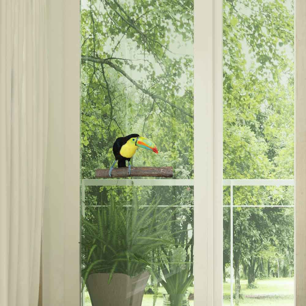 24 inch Toucan Die-Cut Decal Installed on Window