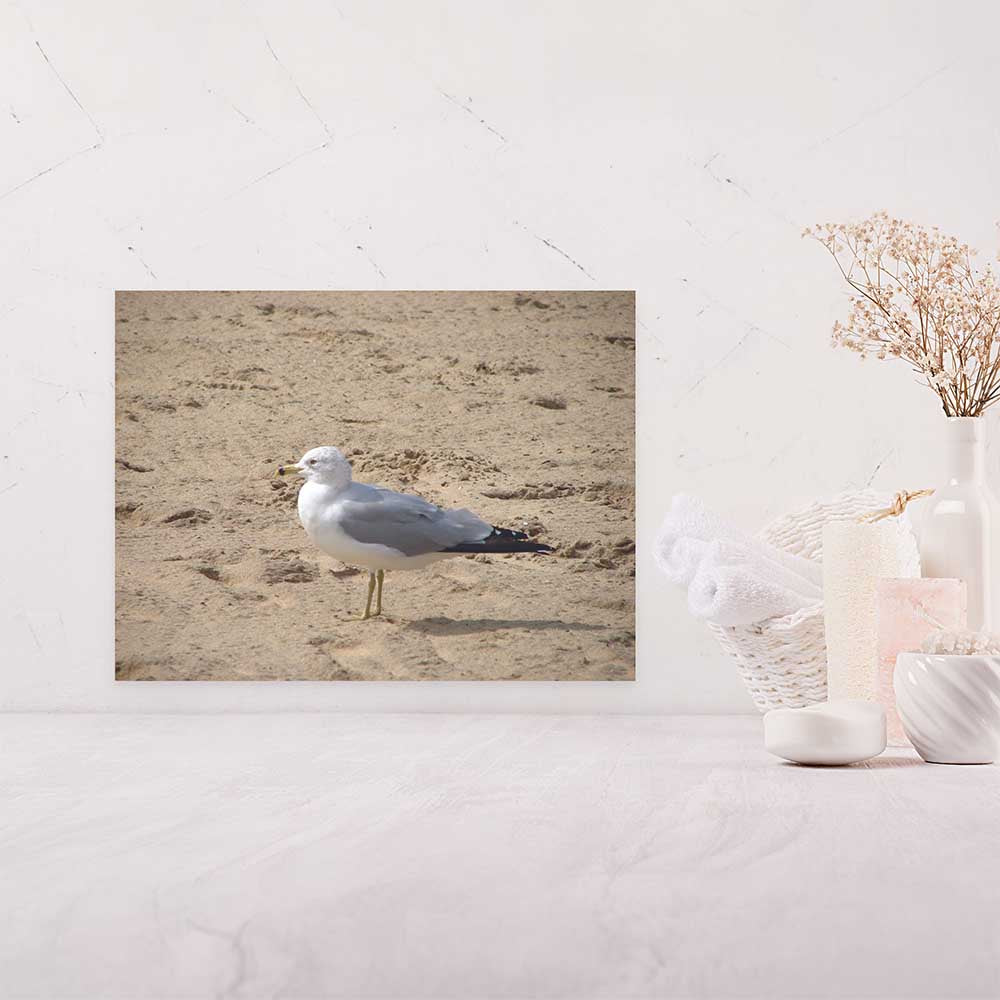 24 inch Seagull on Beach Poster Displayed on Wall