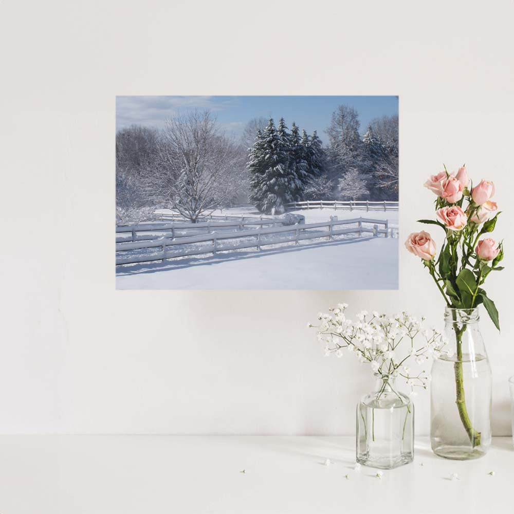 24 inch Snow Heaven Poster Displayed Above Counter