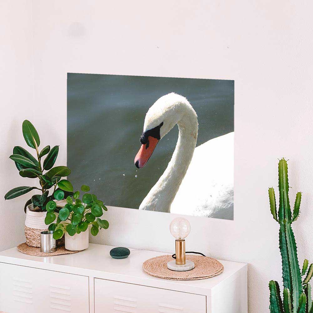 24 inch Majestic Swan Poster Displayed Above Cabinet