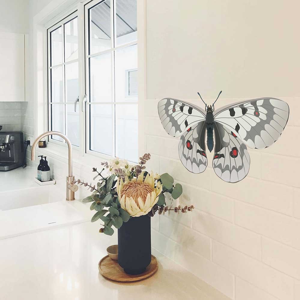 12.5x24 inch Apollo Butterfly Decal Installed in Kitchen