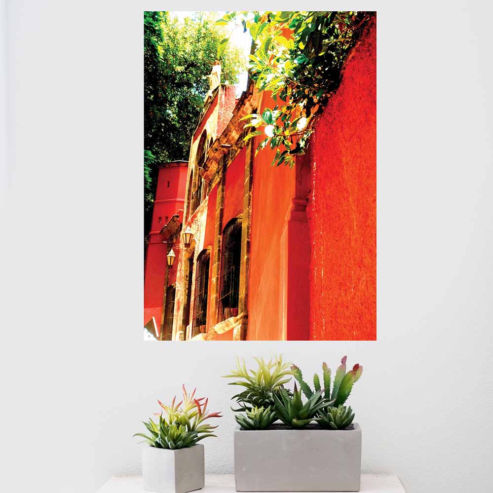 17x24 inch Mexican Bright Architecture Decal Installed Above Cactus Plants