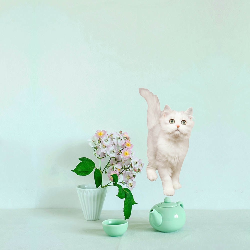 24 inch White Cat Die-Cut Decal Installed Above Counter