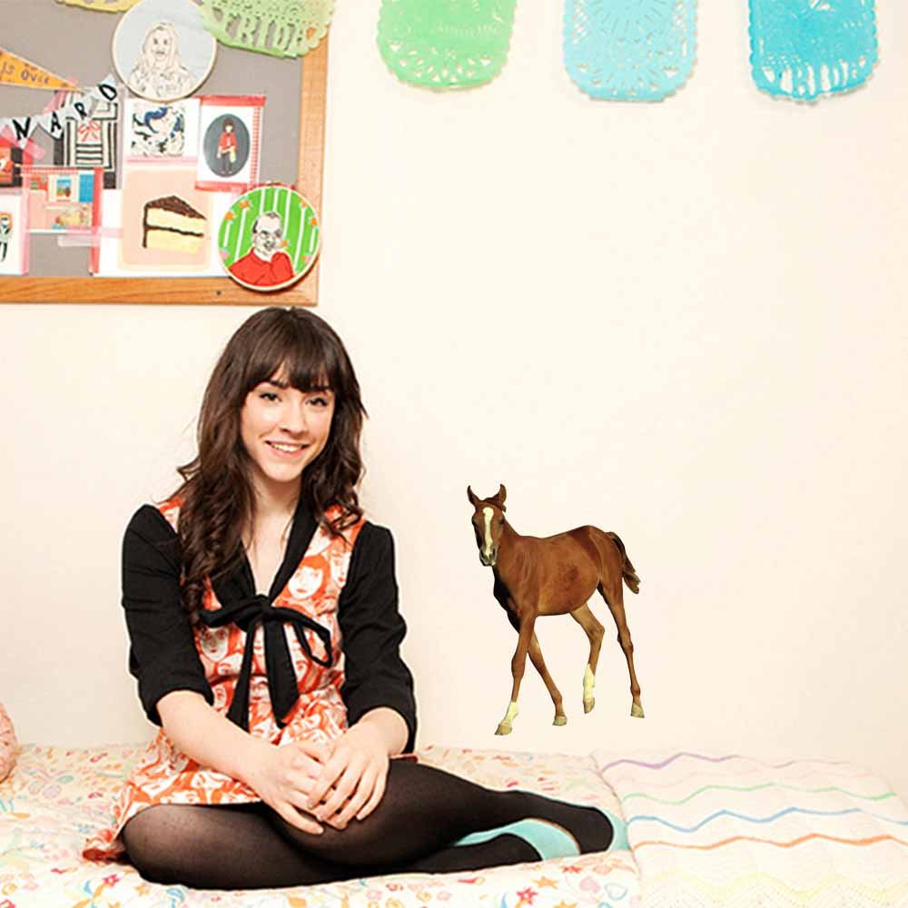 24 inch Young Foal Die-Cut Decal Installed in Dorm Room