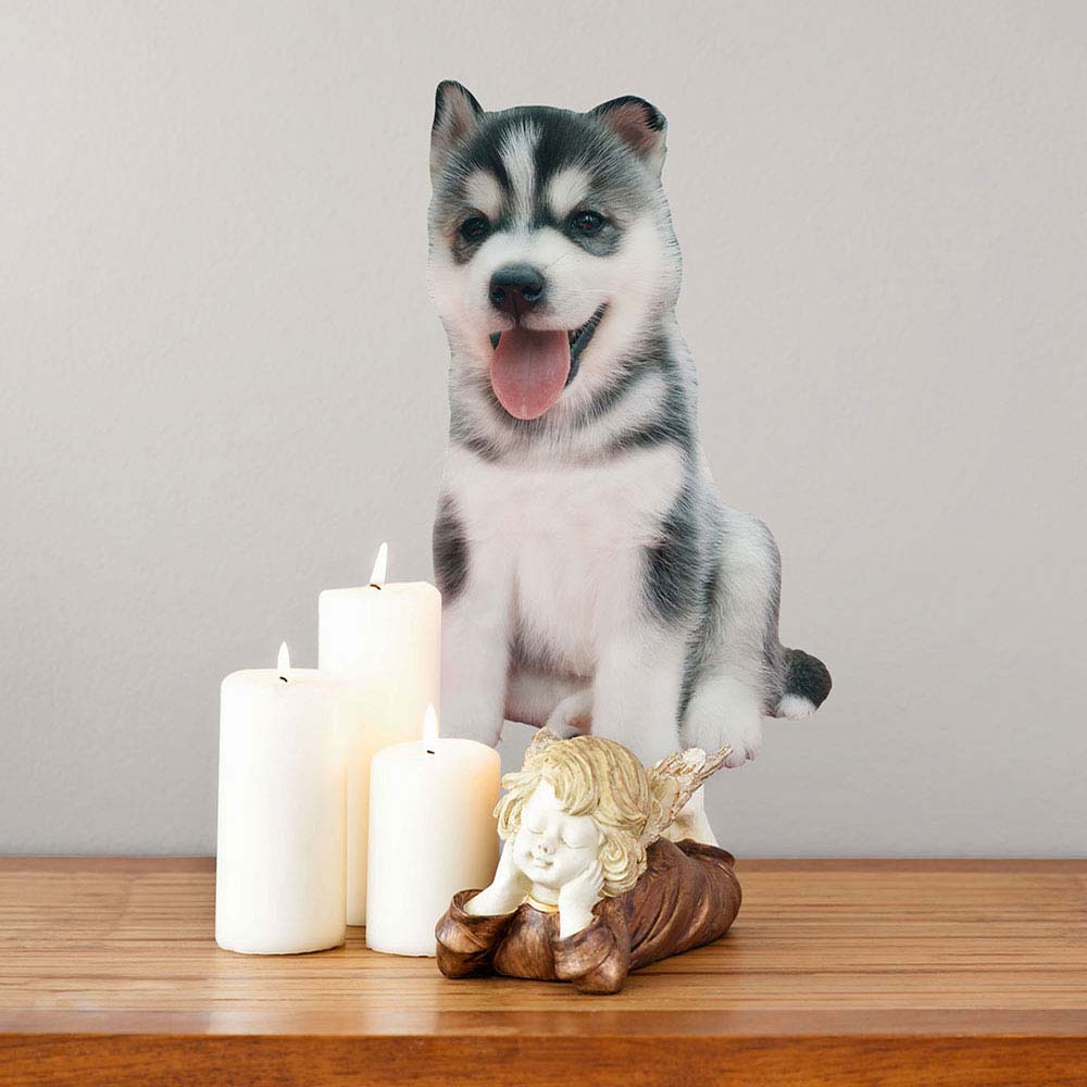 24 inch Husky Puppy Decal Installed on Wall