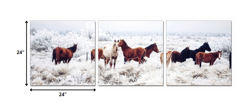 Three Panel Wild Horses Color Canvas Photo | 24