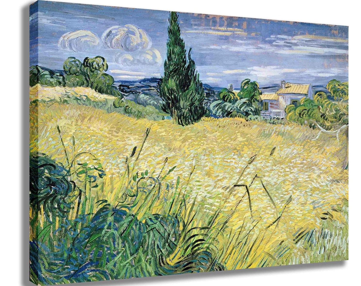 van Gogh 