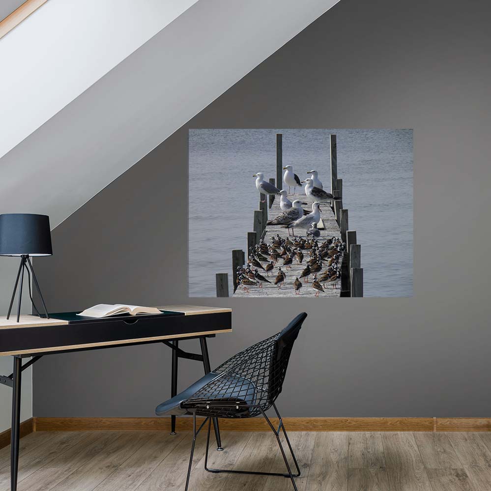 36 inch Birds on Dock Decal Installed Near Desk