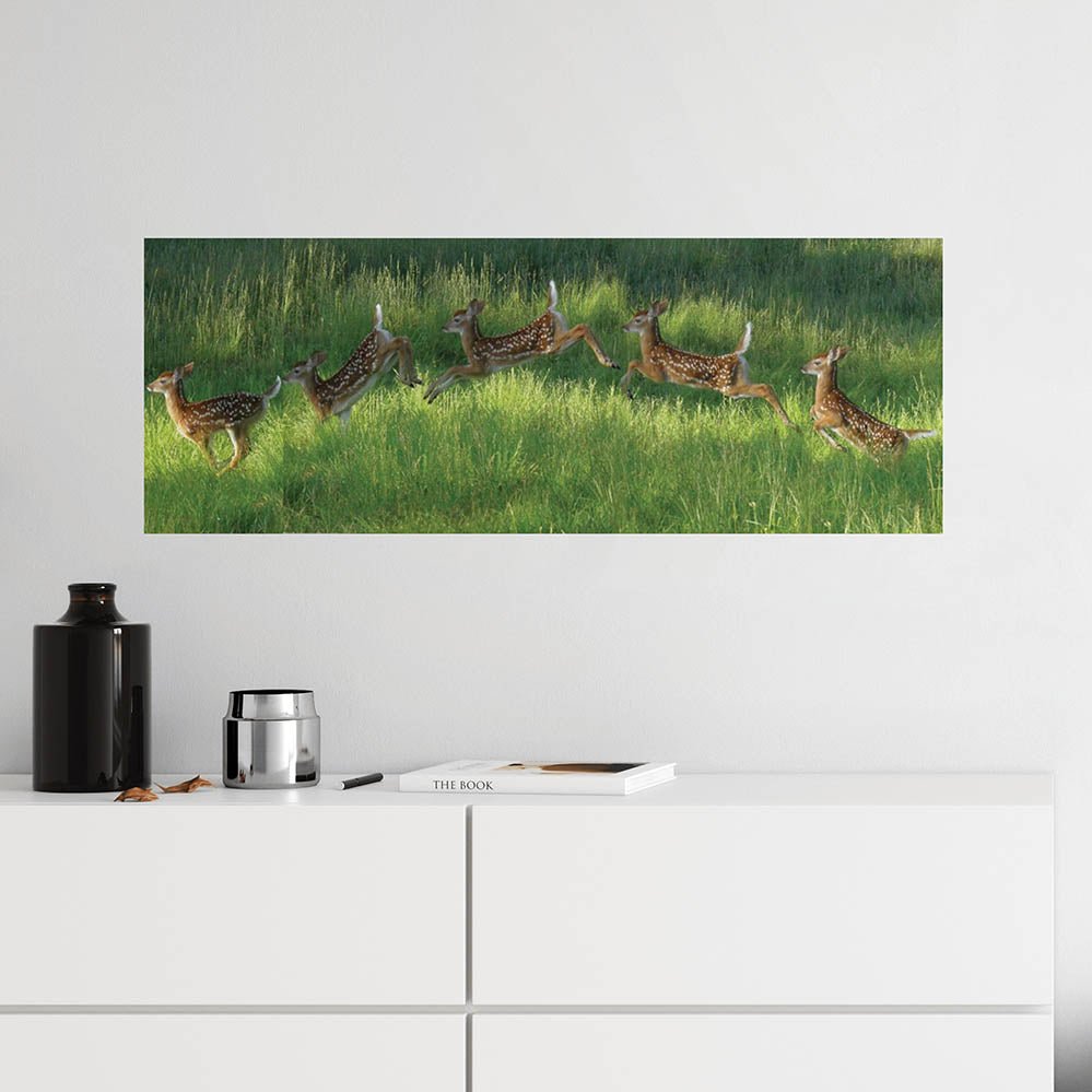 36 inch Poconos Fawn Jumping Panoramic Poster Installed Above Counter