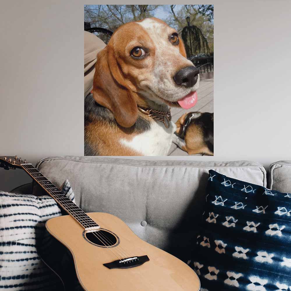 36 inch Smiling Beagle Poster Installed Above Sofa