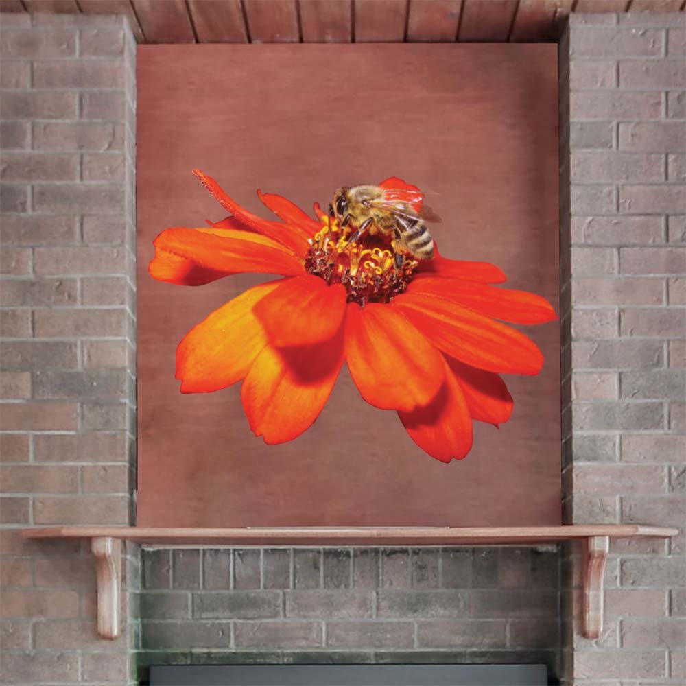 36 inch Pollen Nation Die-Cut Decal Installed Above Fireplace