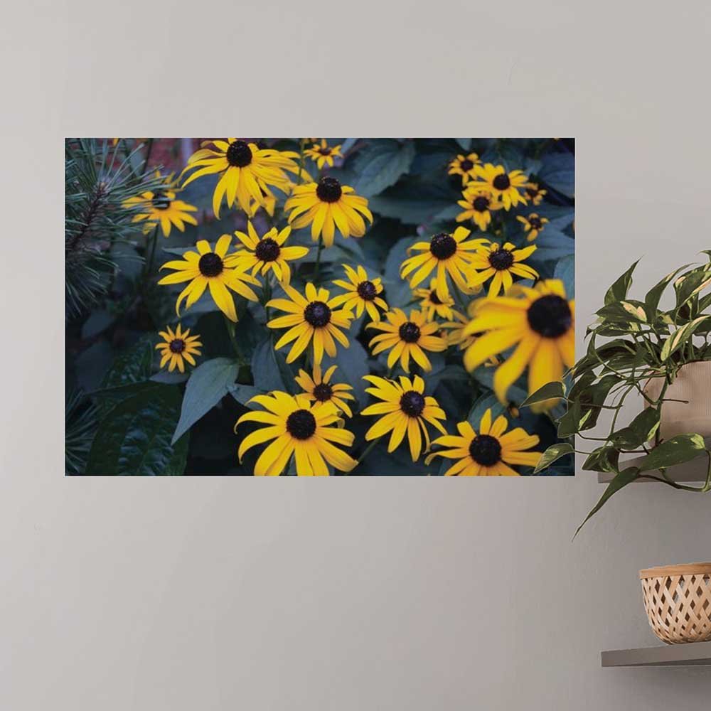24x36 inch Bunch of Daisies Decal Installed on Wall