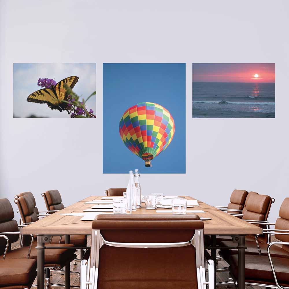 24x36 inch Butterfly Resting Poster Displayed in Conference Room