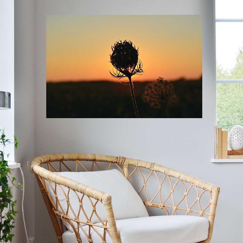 24x36 inch Sunset Flower Poster Displayed Above Chair