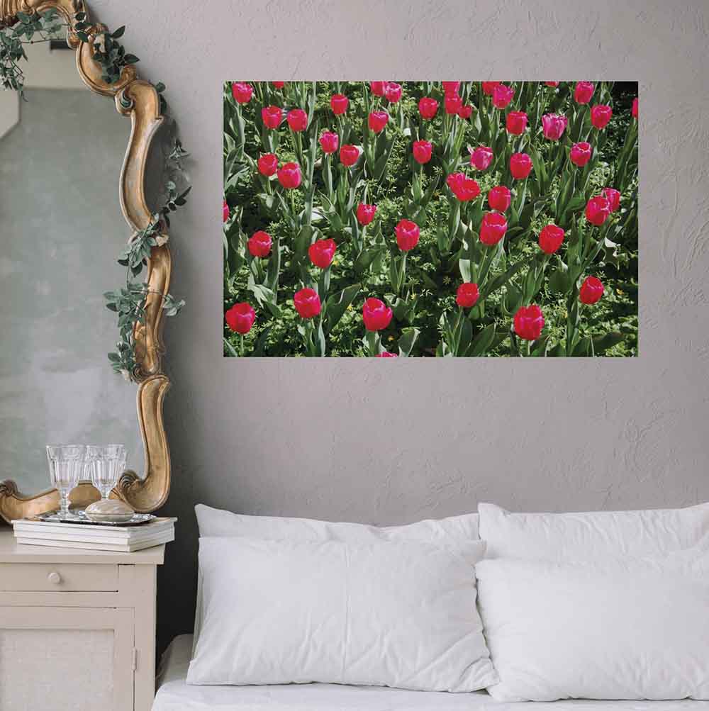 24x36 inch Flowers Decal Installed Above bed