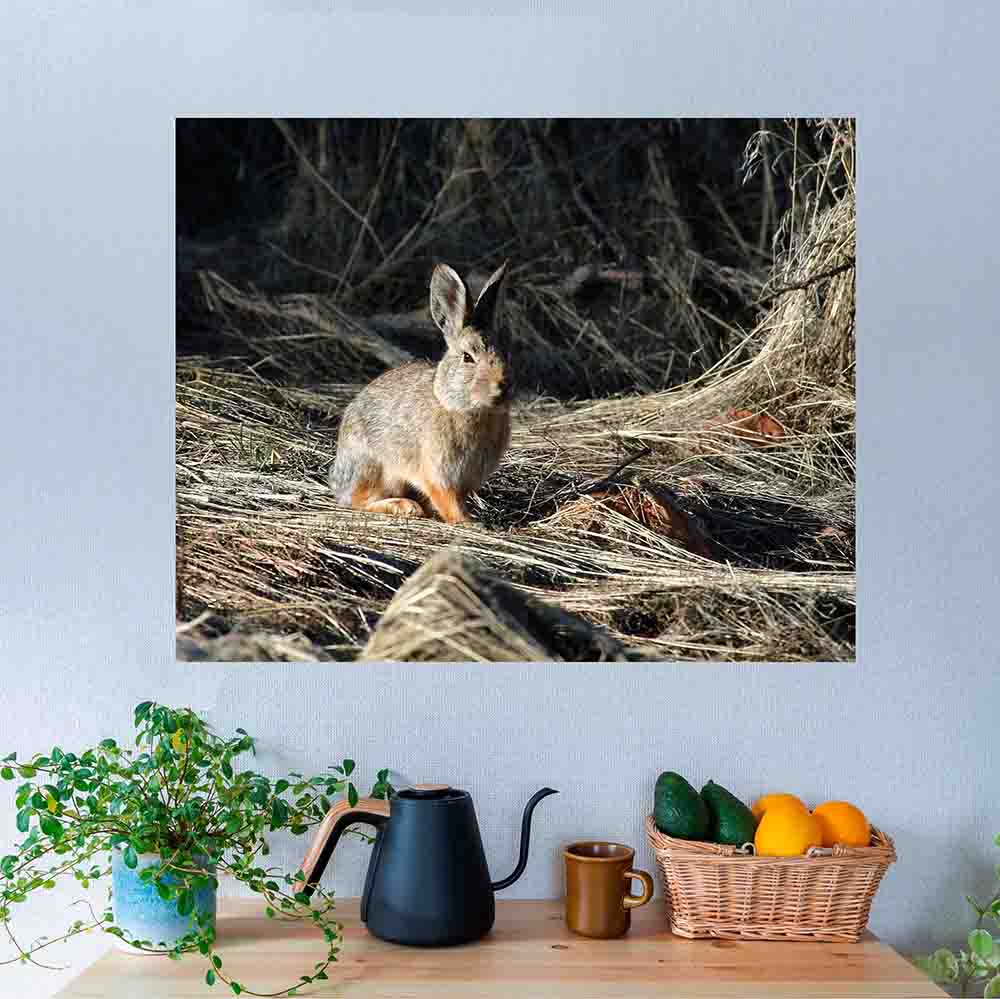 29x36 inch Cottontail Poster Displayed Above Table