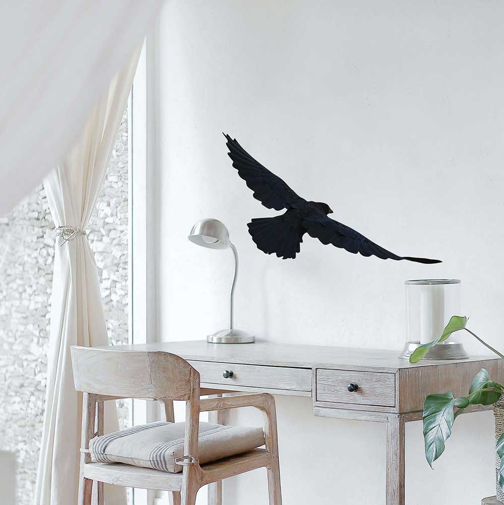 19.5x36 inch Die-Cut Crow Decal Installed Above Desk