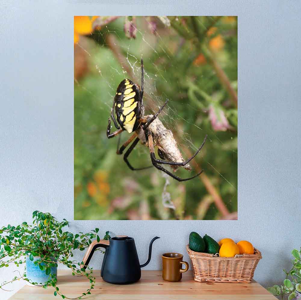 29x36 inch Feeding Time Poster Displayed Above Table