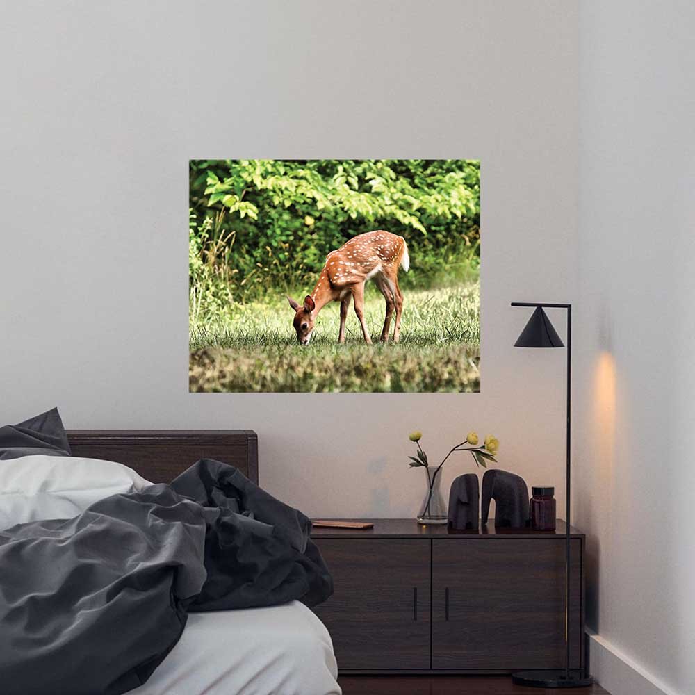 29x36 inch Grazing Fawn Poster Displayed in Bedroom