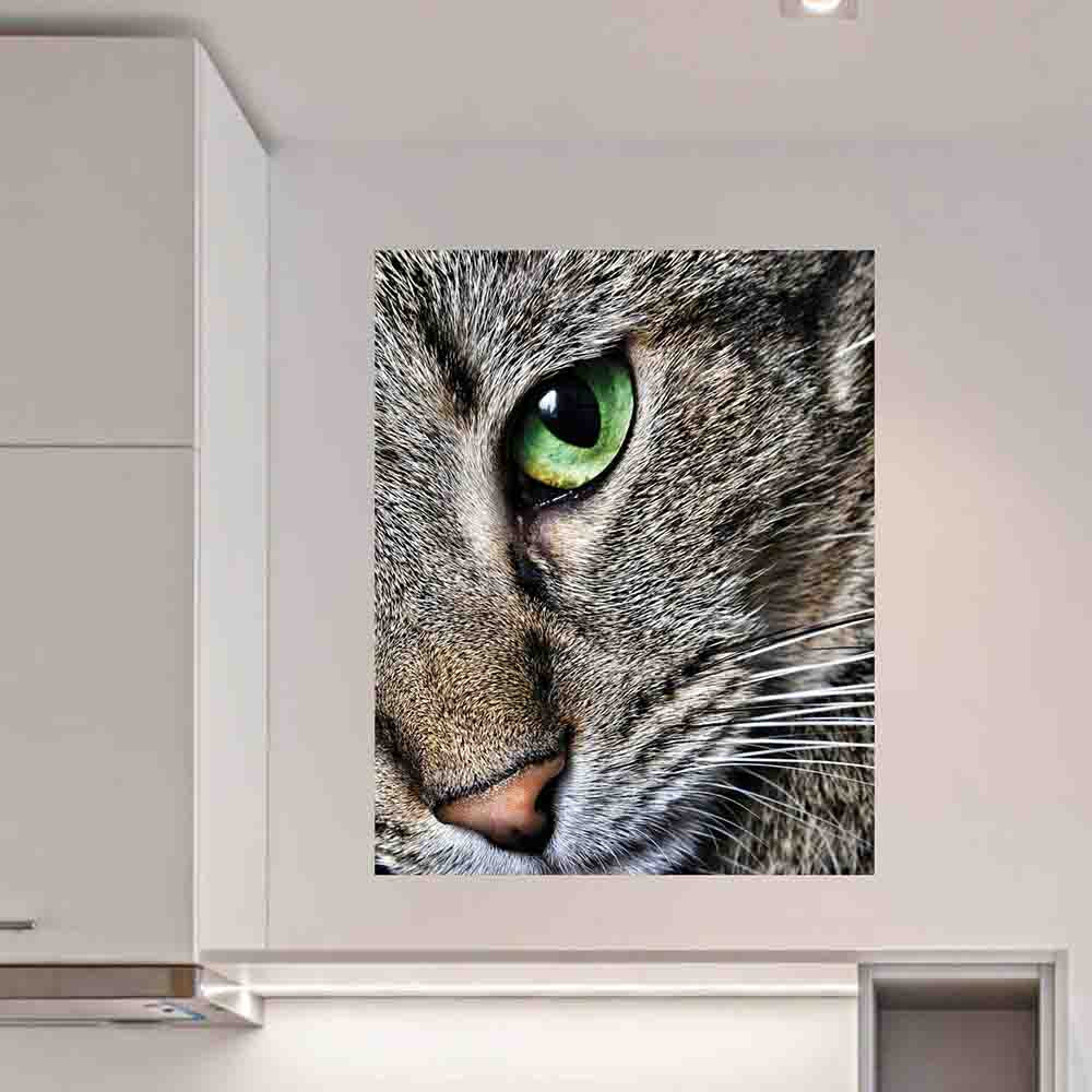28.5x36 inch Max Close Up Cat Decal Installed Next to Cabinet