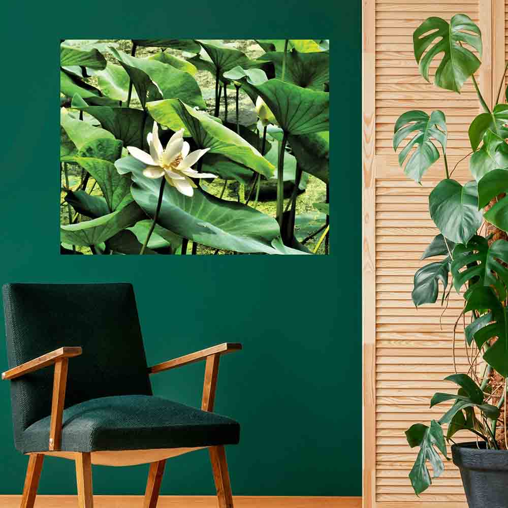 28.5x36 inch Pond Flower Poster Displayed Above Chair