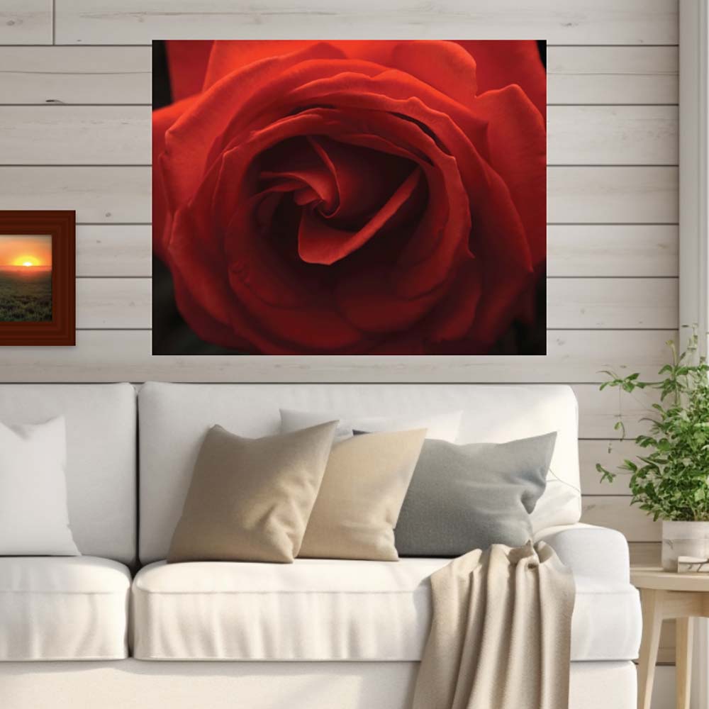 28.5x36 Rose Poster Displayed Above Sofa