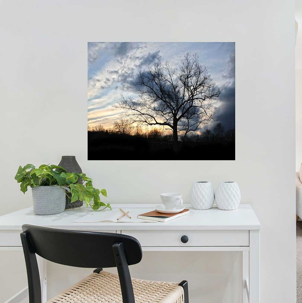 29x36 inch Sunset Tree Poster Displayed Above Desk