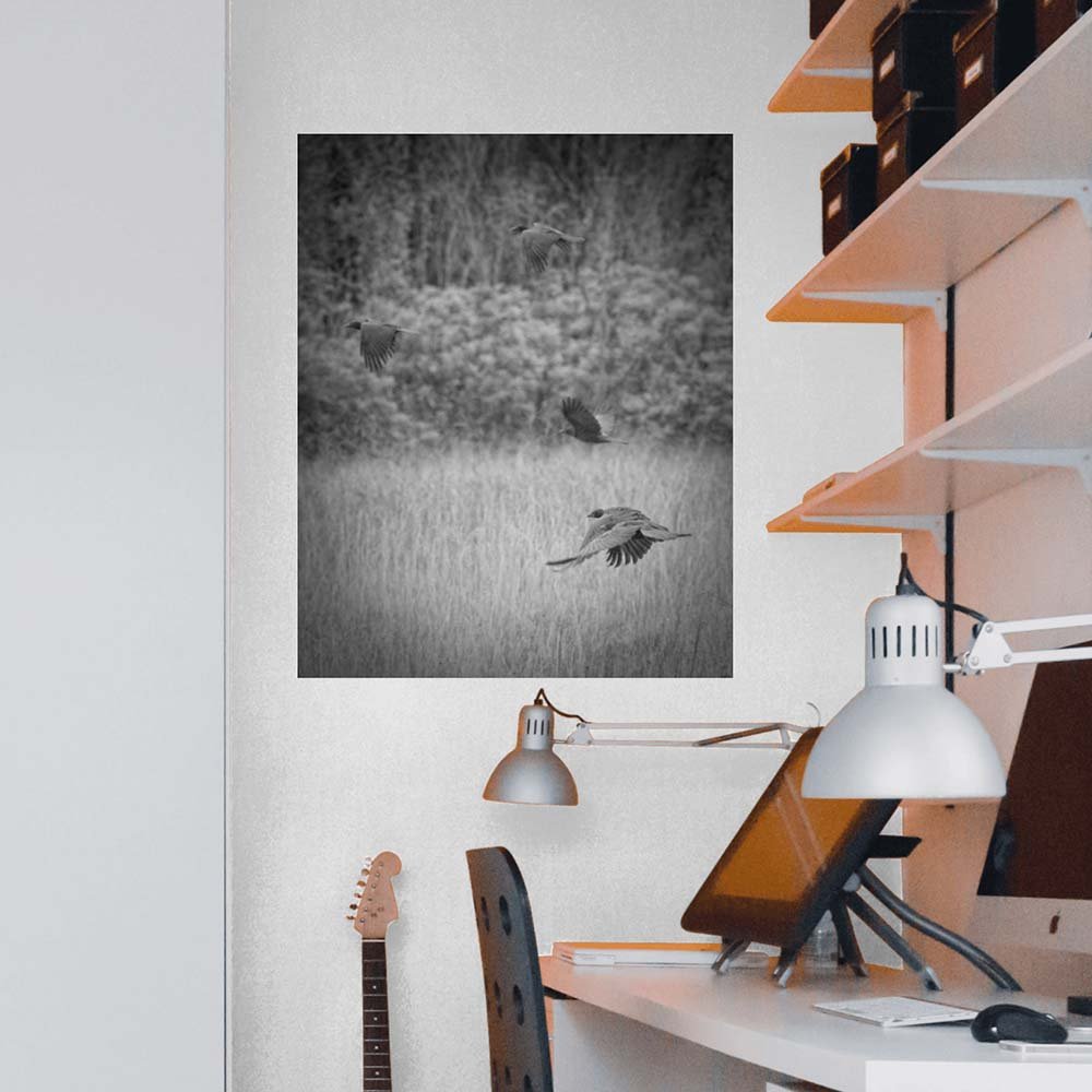 19x24 inch The Crows Decal Installed Above Desk