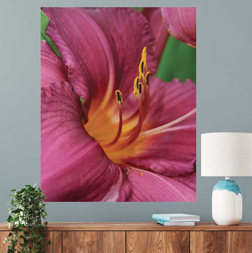 29x36 inch The Lilly Poster Displayed Above Console Table