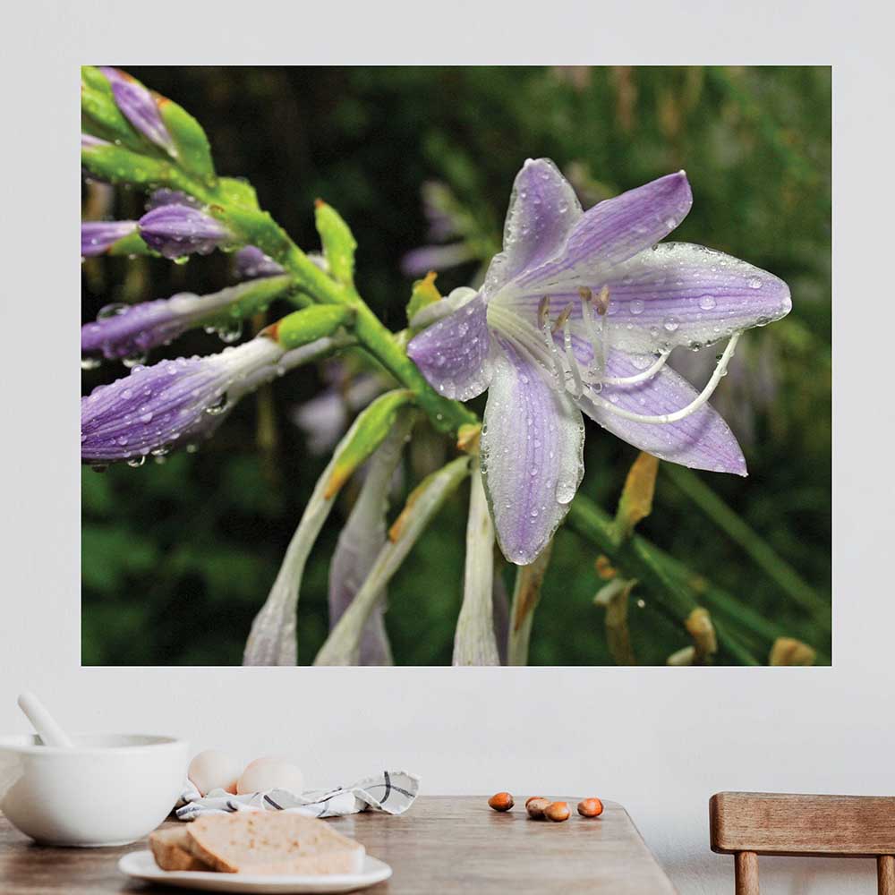 28.5x36 inch Wet Flower Poster Displayed Above Table